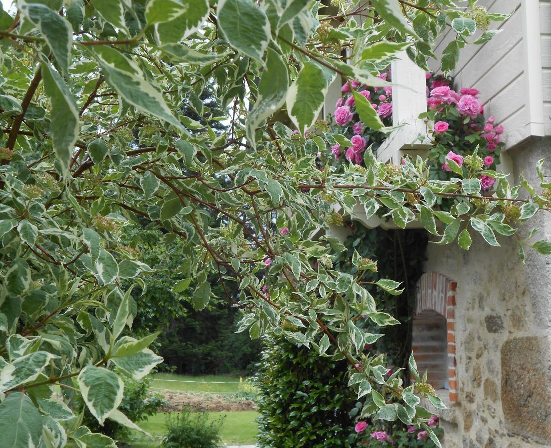 Les Maisons De Concasty Boisset  Екстериор снимка